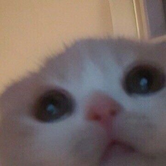 mstinkiewinkle